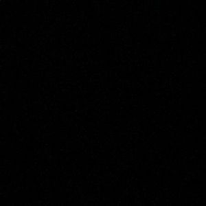 Meet your Posher, Leone